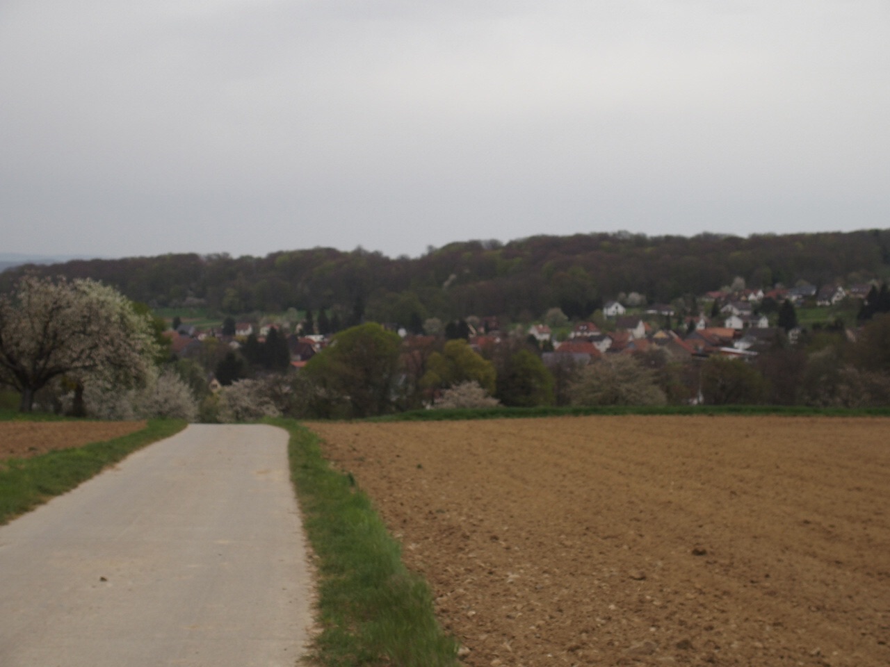 Aucune photo pour cette étape.